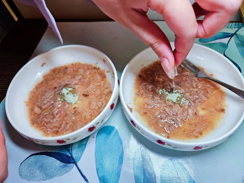 試用